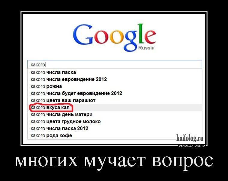 Вопросы с юмором. Демотиватор вопросы. Смешные вопросы. Опрос демотиватор. Вопрос смешная картинка.