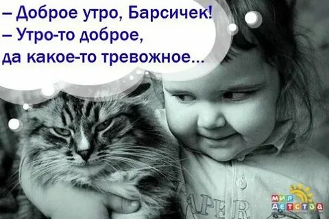 Утра конечно. Доброе утро Барсик. Доброе утро Барсичек. Доброе утро Барсичек утро то доброе но какое-то тревожное. Доброе, но какое-то тревожное.