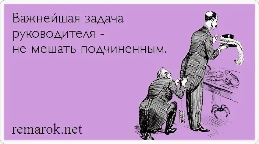 А это мы на вас да. Прикольные цитаты про начальника. Если тебе лизнули зад не расслабляйся. Афоризмы про начальника. Анекдот про начальника.